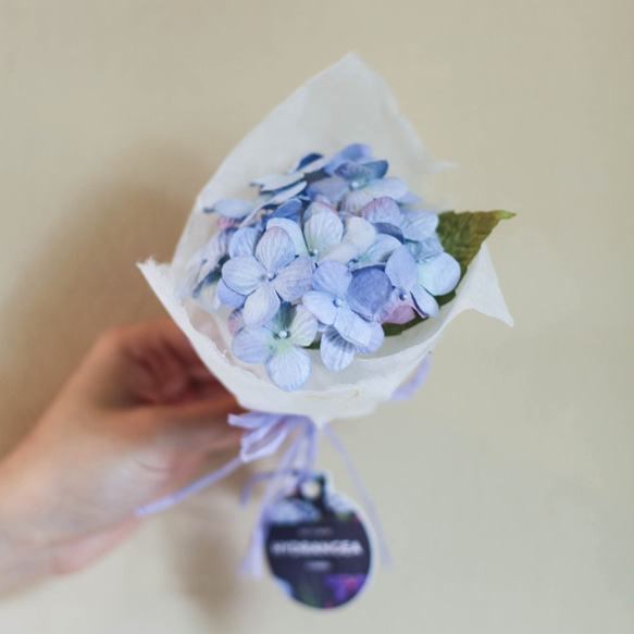 Tiny Bouquet, Blue Sky Hydrangea 2枚目の画像