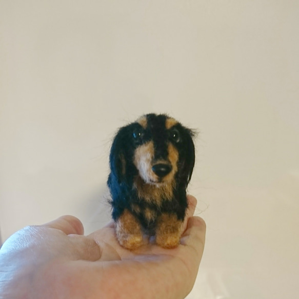 羊毛フェルト ミニチュアダックス ブラックタン