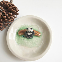 桌上風景 懶惰熊貓陶瓷飾物碟 第3張的照片