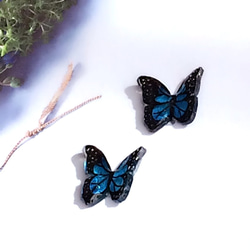 17Butterfly  手描き蝶々 濃い青  ピアス 1枚目の画像