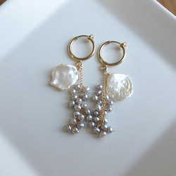 淡水銀珍珠和克里奧花瓣 第2張的照片