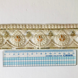 インド刺繍リボン　NO,48 インド　サリーボーダー　刺繍　生地　布　素材　テープ　小物 5枚目の画像