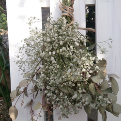 ドライフラワー アンティークスワッグ ドライフラワー chamomile