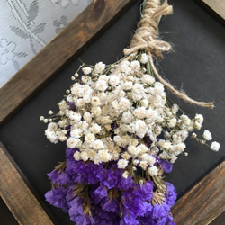 ドライフラワー 2024 秋咲きミモザ ゴールデントップ のシンプルな