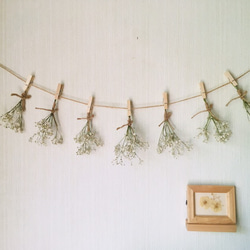 ドライフラワー シンプルにユーカリポポラスのスワッグ♩2025 限定数