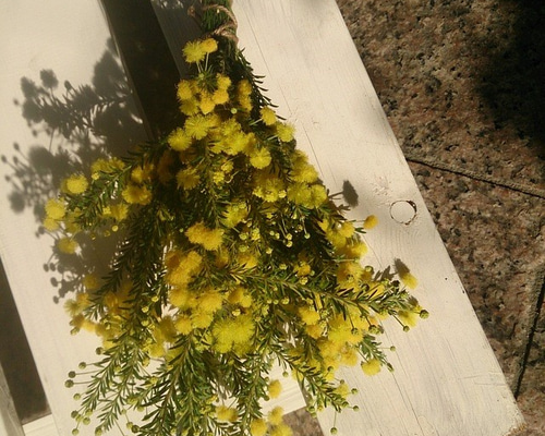 0_f17730895be1f16e768a85b45685