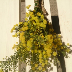 ドライフラワー 秋咲きミモザ ゴールデントップ のシンプルなスワッグ 4枚目の画像