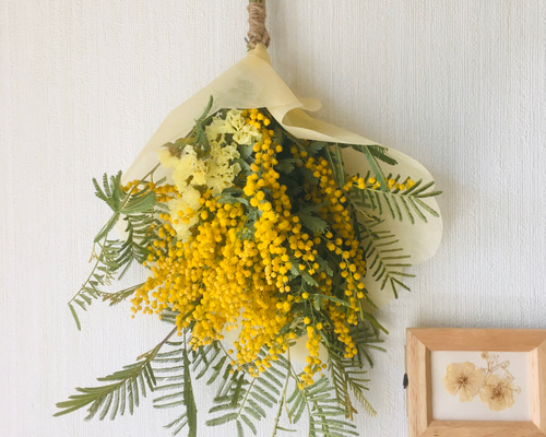 ドライフラワー 春 ミモザのスワッグ ドライフラワー chamomile 通販