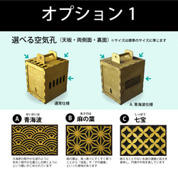 新型 ふくろう用輸送箱（キャリーケース） 「Owl shipping box」XLサイズ　猛禽 5枚目の画像