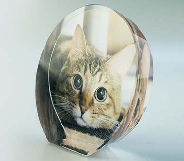 円型クリスタル（送料無料）（あんしん保証付き）