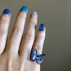 ブルー 蝶のリング 1枚目の画像