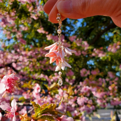 =DRIP= ほんのり桜が咲き滴るつまみ細工イヤリング ピアス pink (受注制作) 6枚目の画像