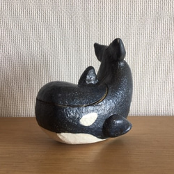工房彩陶「シャチ小物入れ」（シャチ 鯱 くじら クジラ 陶器 BOX