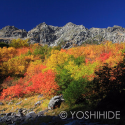 【額装写真】朝陽に輝く紅葉と奥穂高岳 1枚目の画像