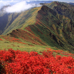 【額装写真】谷川岳の紅葉と続く稜線 1枚目の画像