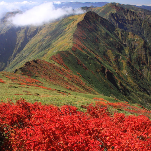 額装写真】谷川岳の紅葉と続く稜線 写真・グラフィック ARA 通販