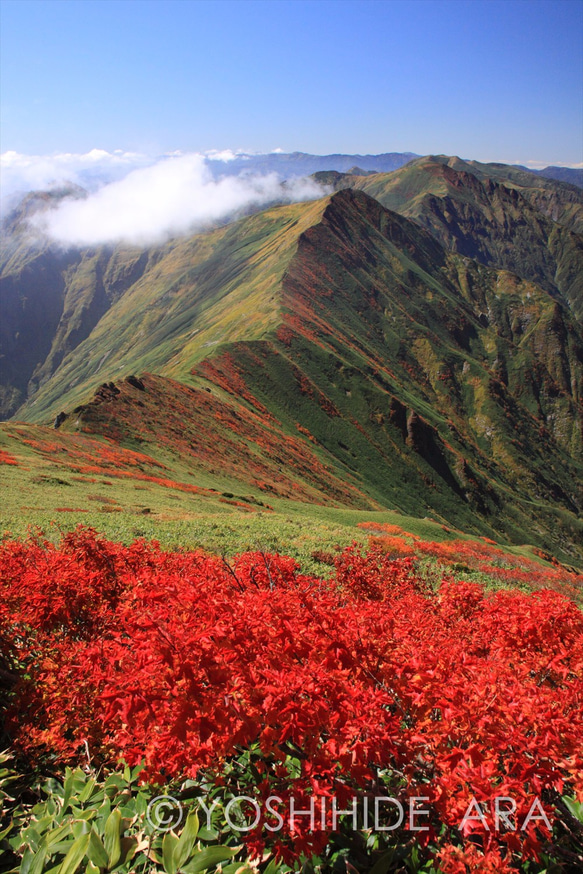 【額装写真】谷川岳の紅葉と続く稜線 1枚目の画像