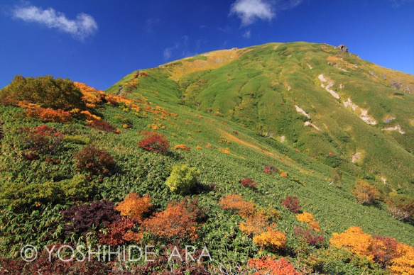 【額装写真】天神尾根上部の紅葉と谷川岳 1枚目の画像