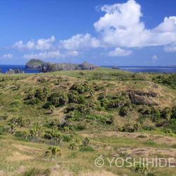 【額装写真】異空間・ケータ＜世界遺産 小笠原諸島＞ 1枚目の画像