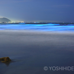 【額装写真】夜光虫輝く海 1枚目の画像