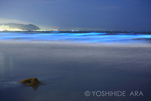 【額装写真】夜光虫輝く海 1枚目の画像