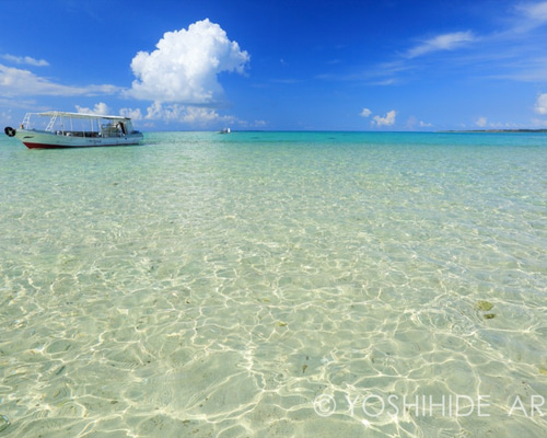 0_a97c7c87a449b78a9233ebdf1ef5