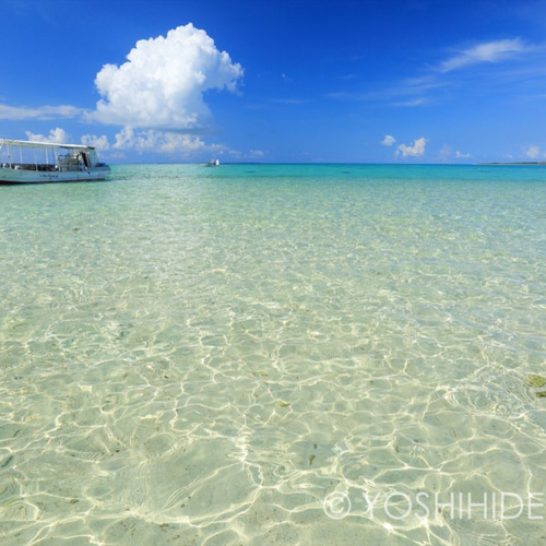 額装写真】幻の島の風景 写真・グラフィック ARA 通販 4382911｜Creema