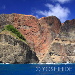 【額装写真】見上げるビッグハート＜世界遺産 小笠原諸島＞ 1枚目の画像