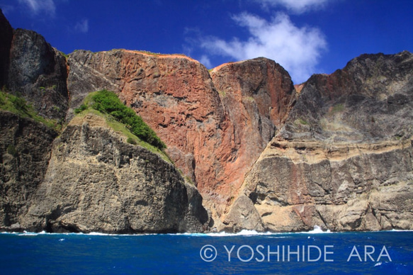 【額装写真】見上げるビッグハート＜世界遺産 小笠原諸島＞ 1枚目の画像