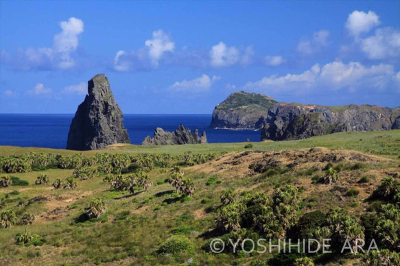 【額装写真】異空間・ケータ＜世界遺産 小笠原諸島＞ 1枚目の画像