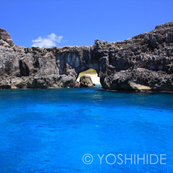 【額装写真】楽園への誘い＜世界遺産 小笠原諸島＞ 1枚目の画像