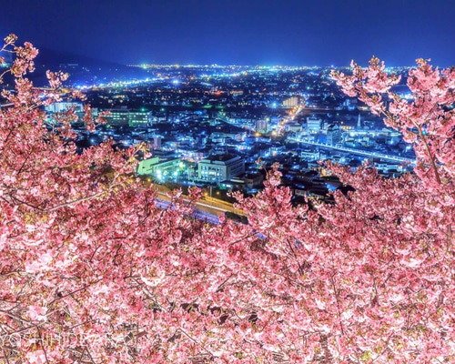 0_76698c9dd097e75a27ac35def6d0