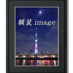 【額装写真】西平畑公園の河津桜と富士山 2枚目の画像