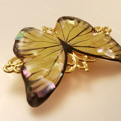 帯留め 螺鈿蝶々 黄 2枚目の画像
