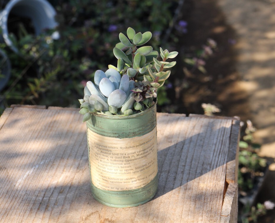 コラボ‼️リメイクデニムサボちゃん♡ 再再再…再販】デニムリメイク☆デニムサボテン - MAIMAIJEWEL'S