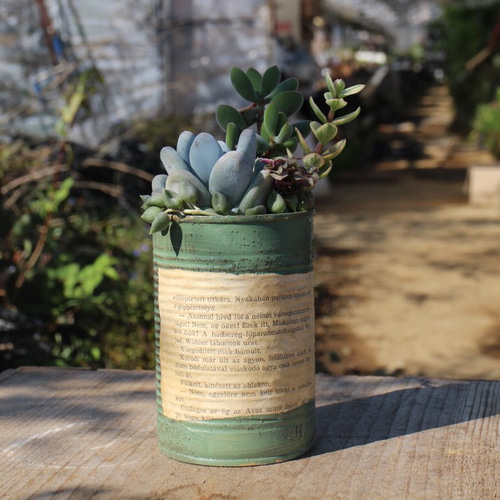 リメイク缶多肉の寄せ植え(トマト缶サイズ) その他インテリア雑貨 Lily