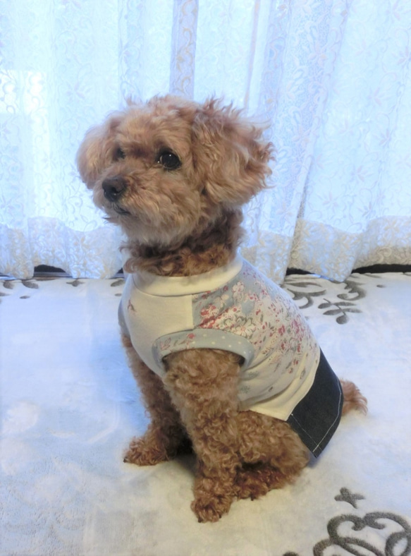 犬服　大人の雰囲気ただようドッグウエアスカートタイプ　トイプードルサイズ～5kg 2枚目の画像