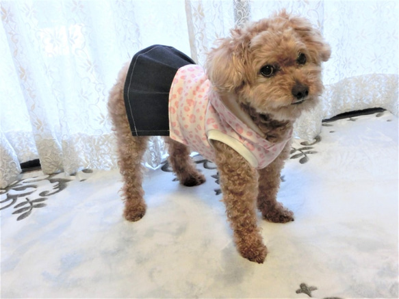 犬服　かわいいピンクのヒョウ柄！ドッグウエア　フード+プリーツスカートタイプ　トイプードルサイズ～5kg 3枚目の画像