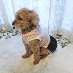 犬服　かわいいピンクのヒョウ柄！ドッグウエア　フード+プリーツスカートタイプ　トイプードルサイズ～5kg 4枚目の画像