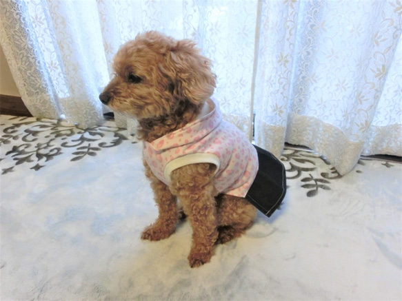 犬服　かわいいピンクのヒョウ柄！ドッグウエア　フード+プリーツスカートタイプ　トイプードルサイズ～5kg 4枚目の画像