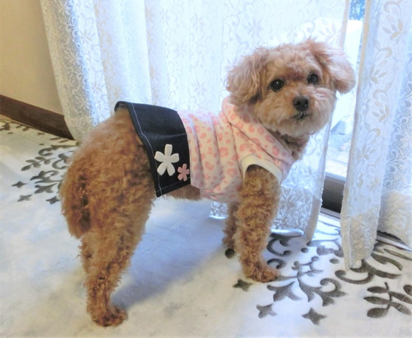 犬服　かわいいピンクのヒョウ柄！ドッグウエア　フード+プリーツスカートタイプ　トイプードルサイズ～5kg 7枚目の画像
