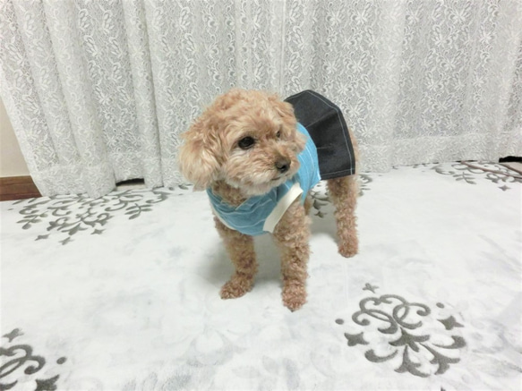 犬服　肌ざわりのいいドッグウエア　フード+プリーツスカートタイプ　トイプードルサイズ～5kg 2枚目の画像
