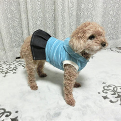 犬服　肌ざわりのいいドッグウエア　フード+プリーツスカートタイプ　トイプードルサイズ～5kg 3枚目の画像