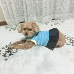 犬服　肌ざわりのいいドッグウエア　フード+プリーツスカートタイプ　トイプードルサイズ～5kg 4枚目の画像