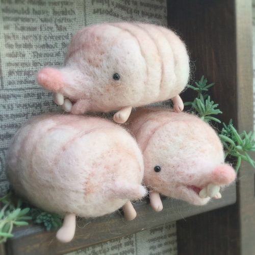 羊毛フェルト ハダカデバネズミの人形 羊毛フェルト ちくpupu. 通販