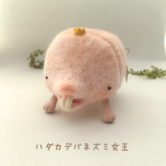 羊毛フェルト ハダカデバネズミ女王 羊毛フェルト ちくpupu. 通販