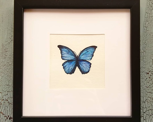 モルフォ蝶の絵, スルコウスキーモルフォ,額縁付き,原画