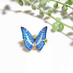 「ちょうちょ」原画 和紙アートミニパネル／ちっちゃな蝶々・レテノールモルフォ