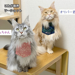 長毛猫さんのごはん用エプロン！　ピンク 4枚目の画像