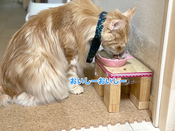 長毛猫さんのごはん用エプロン！　ピンク 7枚目の画像